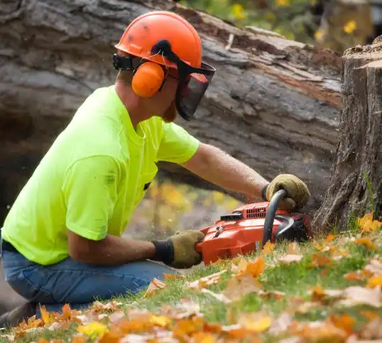 tree services Herculaneum